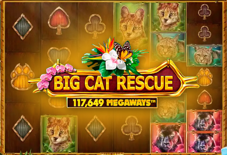 Big Cat Rescue Megaways