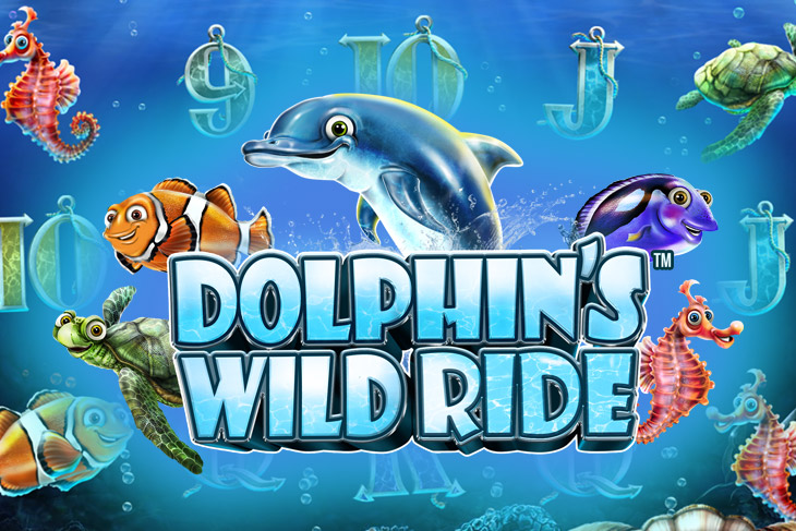 Dolphins Wild Ride