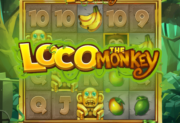 Loco The Monkey