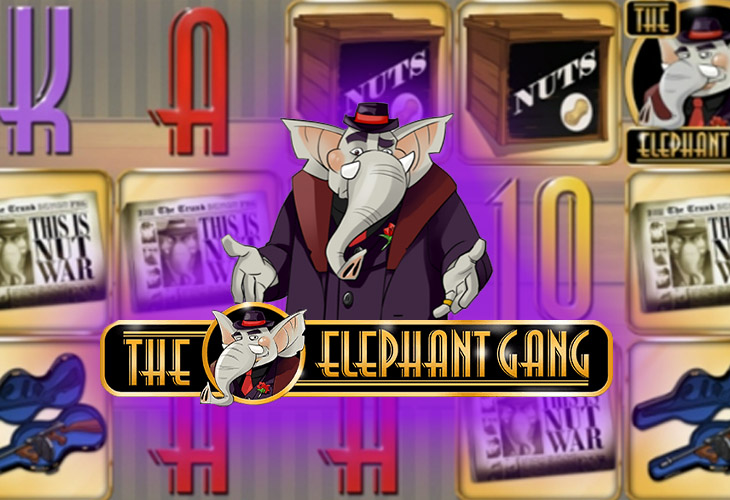 The Elephant Gang Tgc
