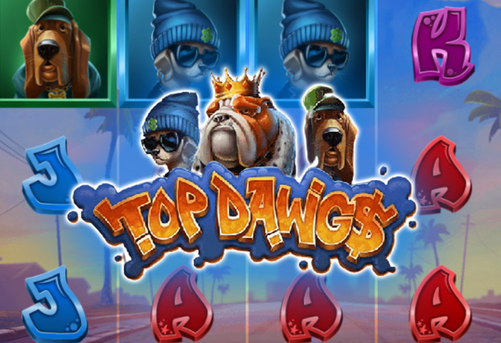 Top Dawg Relax Gaming