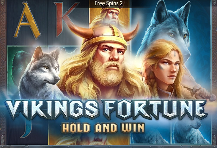 Vikings Fortune Hold And Win